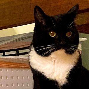 Meet your Posher, Carrie